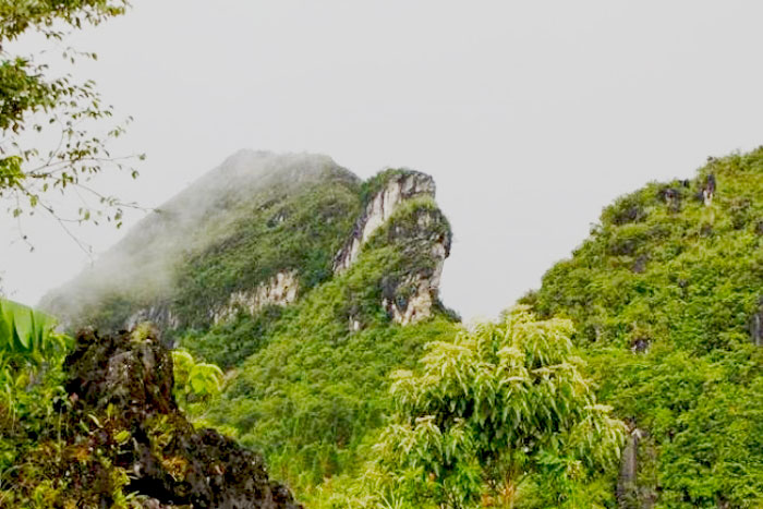 Dragon Mountain Sapa